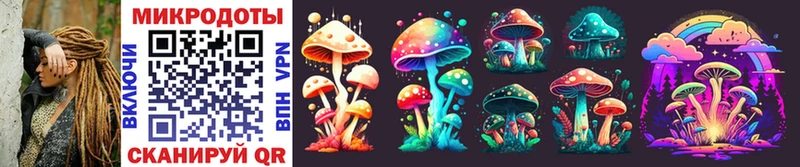 Галлюциногенные грибы Cubensis  цена   Медногорск 